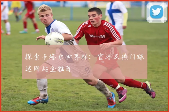 探索卡塔尔世界杯:官方及热门球迷网站全推荐