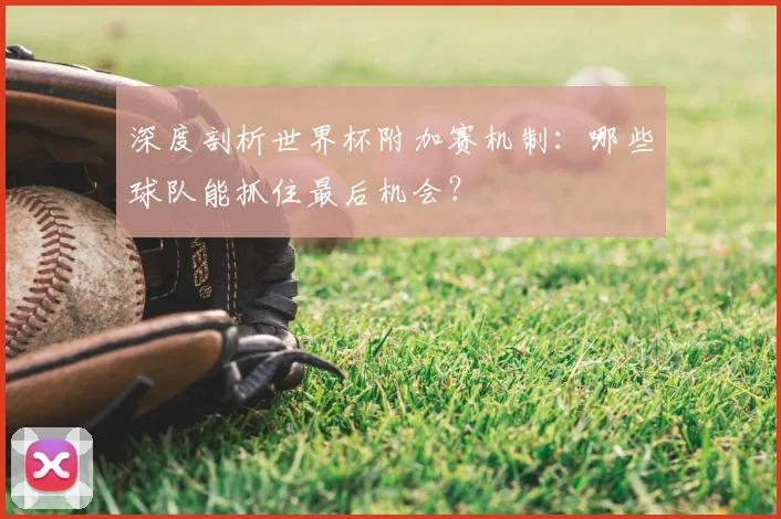 深度剖析世界杯附加赛机制:哪些球队能抓住最后机会?