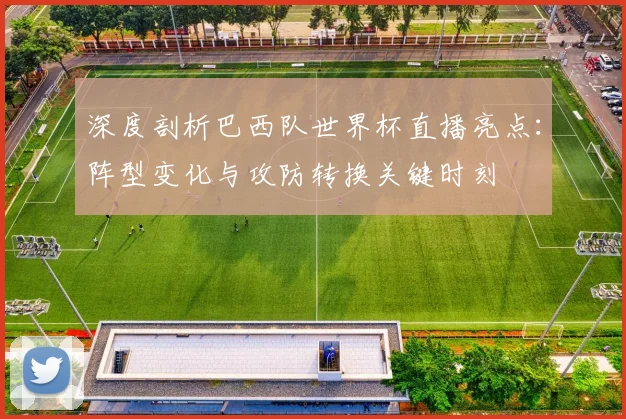深度剖析巴西队世界杯直播亮点：阵型变化与攻防转换关键时刻