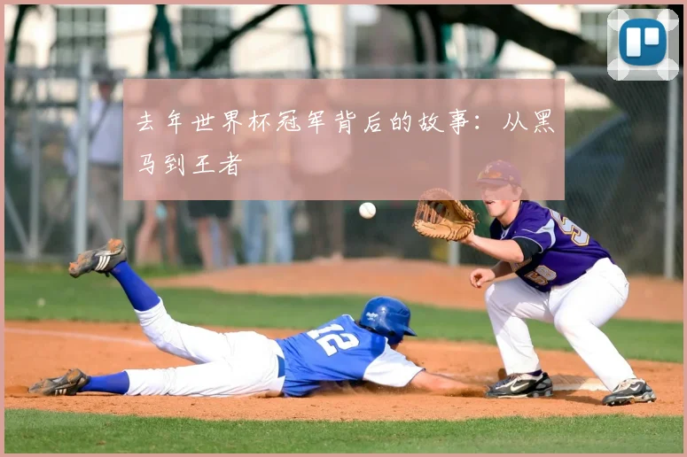 去年世界杯冠军背后的故事:从黑马到王者