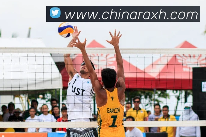 新爱体育官网APP 封面图